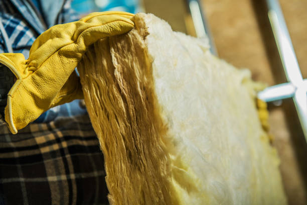 Best Insulation Maintenance and Repair in Saxon, SC