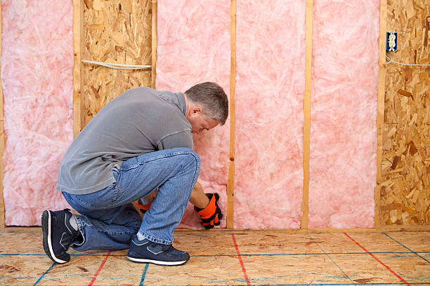 Professional Insulation Contractor in SC